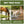 This graphic is divided into two outdoor scenes under a green header. The left side shows a brown horse drinking from a clear pond with ducks nearby. The right side features a young girl in a floral dress walking a white dog along a clean, sandy lakeshore with clear water.