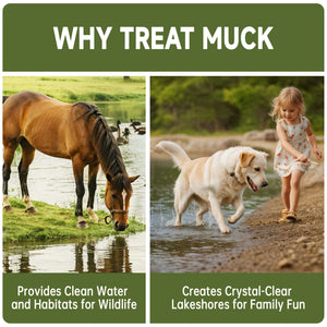 This graphic is divided into two outdoor scenes under a green header. The left side shows a brown horse drinking from a clear pond with ducks nearby. The right side features a young girl in a floral dress walking a white dog along a clean, sandy lakeshore with clear water.