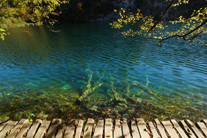 A clear blue-green lake is viewed from a wooden dock made of light brown planks. The water is transparent, showing submerged branches and leaves beneath the surface. Gentle ripples move across the lake. Green and yellow leaves hang from tree branches above, and darker forested areas are visible in the background along the shoreline.