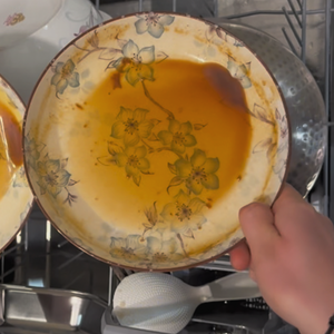 A hand holds a dirty white plate with blue floral patterns. Large, irregular orange-brown liquid stains cover the right half. A dishwasher rack and white rice paddle form the background.