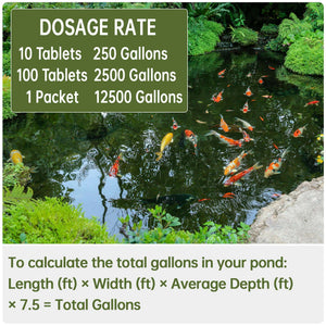 A dosage chart in a green box is positioned over an image of a lush garden pond filled with orange, white, and yellow koi fish. The chart specifies treatment amounts: 10 tablets for 250 gallons, 100 tablets for 2,500 gallons, and 1 packet for 12,500 gallons. Below the pond scene, green text provides a mathematical formula for calculating total pond volume by multiplying length, width, average depth, and 7.5.