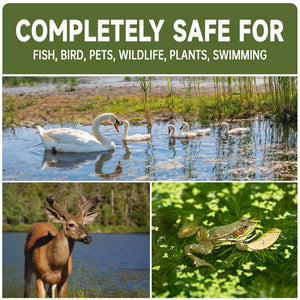 A composite image showcasing a large white swan with cygnets swimming in clear water, a brown deer standing by a blue lake, and a green frog resting on aquatic plants. Large white text at the top states the product is completely safe for fish, birds, pets, wildlife, and plants.