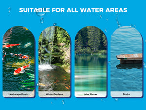 Four vertical arched images demonstrate different applications. From left to right, they show landscape ponds with orange koi fish, a rock water garden with a waterfall, a serene forest lake shore, and a wooden dock floating on blue water. The background is bright blue.