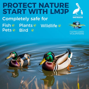 Two mallard ducks with green heads and brown feathers swim on a calm water surface. Above them, large blue text reads "Protect Nature Start With LMJP." Icons on the right represent "International Bird Rescue" and "Oceans 2 Earth Volunteers" against a clear blue sky background.